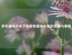 多乐德州扑克下载探索德州扑克的乐趣与策略