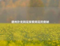德州扑克同花探索同花的奥秘