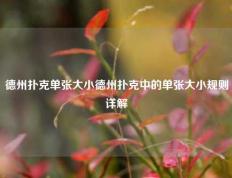 德州扑克单张大小德州扑克中的单张大小规则详解