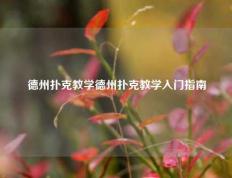 德州扑克教学德州扑克教学入门指南