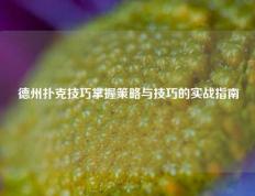 德州扑克技巧掌握策略与技巧的实战指南