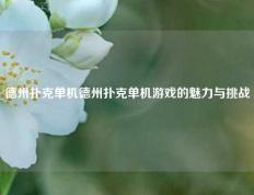 德州扑克单机德州扑克单机游戏的魅力与挑战