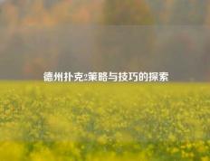 德州扑克2策略与技巧的探索