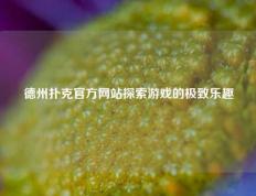 德州扑克官方网站探索游戏的极致乐趣