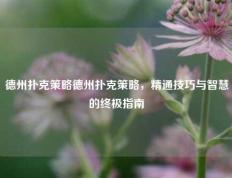 德州扑克策略德州扑克策略，精通技巧与智慧的终极指南