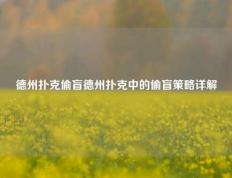 德州扑克偷盲德州扑克中的偷盲策略详解