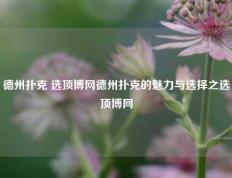 德州扑克 选顶博网德州扑克的魅力与选择之选顶博网