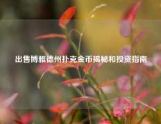 出售博雅德州扑克金币揭秘和投资指南