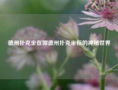 德州扑克坐在哪德州扑克坐标的神秘世界