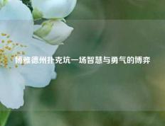 博雅德州扑克坑一场智慧与勇气的博弈
