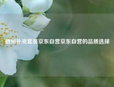 德州扑克套装京东自营京东自营的品质选择