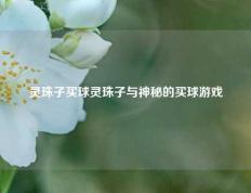 灵珠子买球灵珠子与神秘的买球游戏