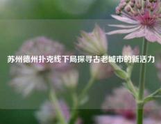 苏州德州扑克线下局探寻古老城市的新活力