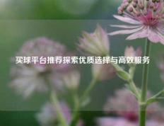 买球平台推荐探索优质选择与高效服务