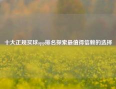 十大正规买球app排名探索最值得信赖的选择