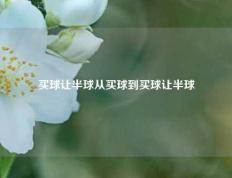 买球让半球从买球到买球让半球
