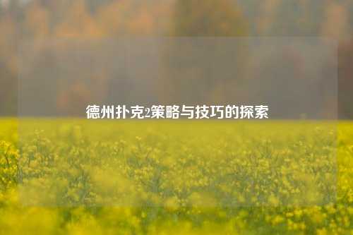 德州扑克2策略与技巧的探索