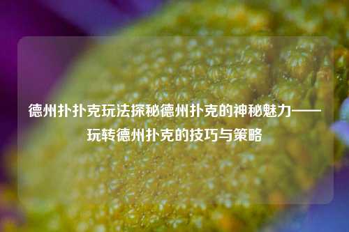 德州扑扑克玩法探秘德州扑克的神秘魅力——玩转德州扑克的技巧与策略