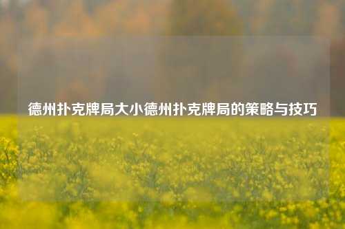 德州扑克牌局大小德州扑克牌局的策略与技巧