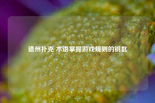 德州扑克 术语掌握游戏规则的钥匙