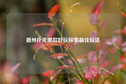 德州扑克哪款好玩探索最佳玩法