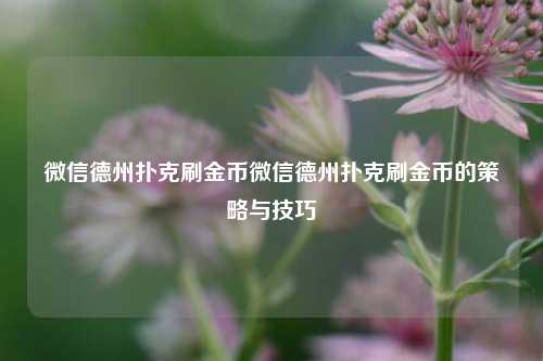 微信德州扑克刷金币微信德州扑克刷金币的策略与技巧
