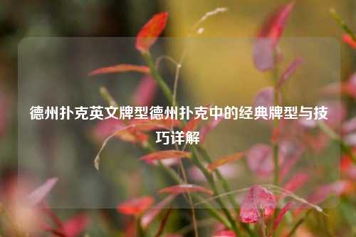 德州扑克英文牌型德州扑克中的经典牌型与技巧详解