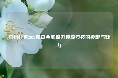 德州扑克2021超高金额探索顶级竞技的极限与魅力