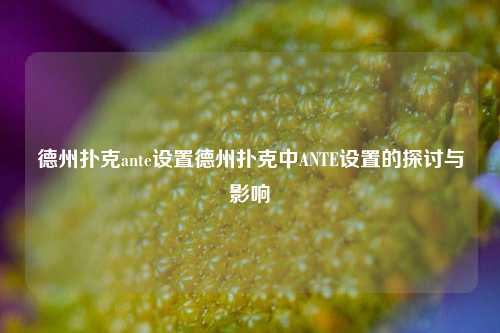 德州扑克ante设置德州扑克中ANTE设置的探讨与影响