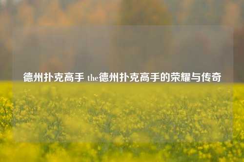 德州扑克高手 the德州扑克高手的荣耀与传奇