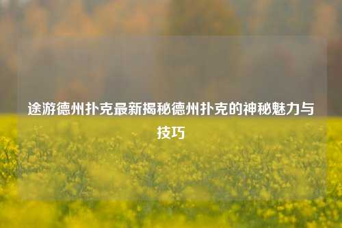 途游德州扑克最新揭秘德州扑克的神秘魅力与技巧