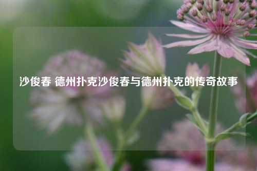 沙俊春 德州扑克沙俊春与德州扑克的传奇故事