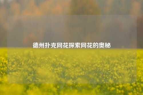 德州扑克同花探索同花的奥秘