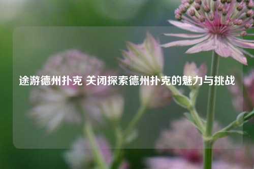 途游德州扑克 关闭探索德州扑克的魅力与挑战