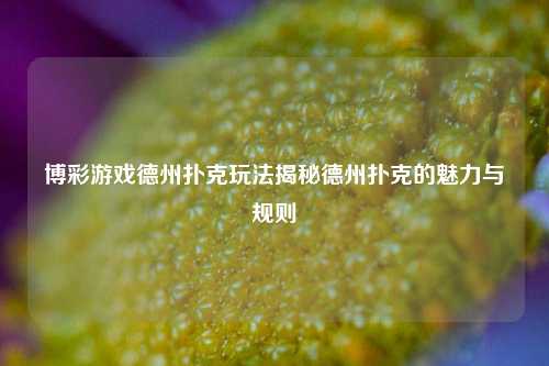 博彩游戏德州扑克玩法揭秘德州扑克的魅力与规则
