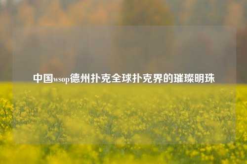 中国wsop德州扑克全球扑克界的璀璨明珠