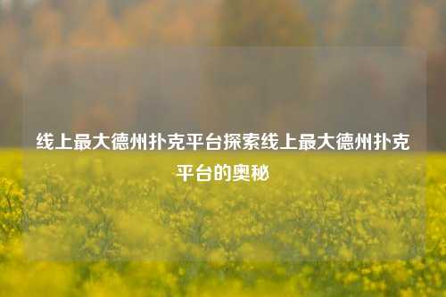 线上最大德州扑克平台探索线上最大德州扑克平台的奥秘