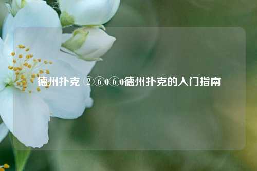 德州扑克 ②⑥0⑥0德州扑克的入门指南