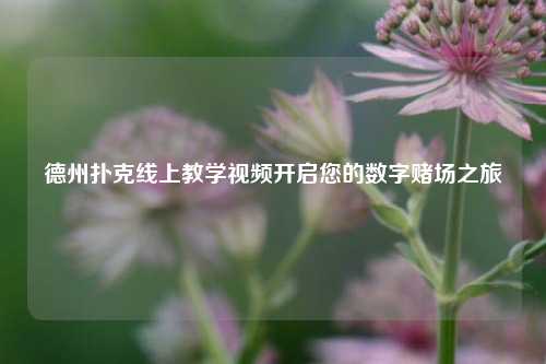 德州扑克线上教学视频开启您的数字赌场之旅