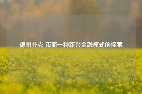 德州扑克 币商一种新兴金融模式的探索