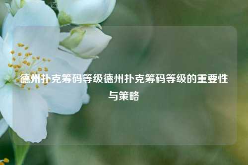 德州扑克筹码等级德州扑克筹码等级的重要性与策略