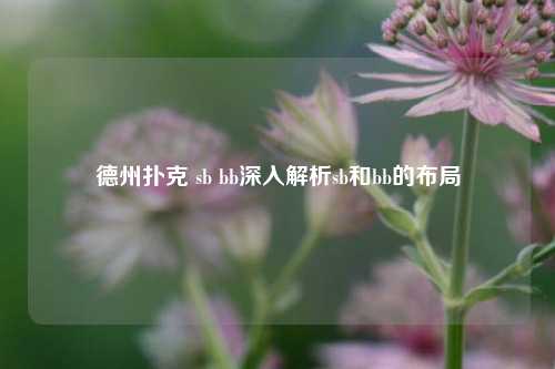 德州扑克 sb bb深入解析sb和bb的布局