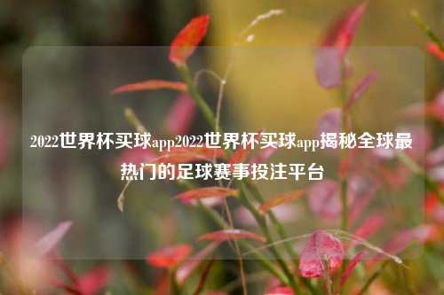 2022世界杯买球app2022世界杯买球app揭秘全球最热门的足球赛事投注平台