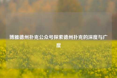 博雅德州扑克公众号探索德州扑克的深度与广度