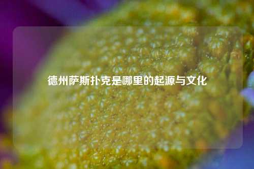 德州萨斯扑克是哪里的起源与文化