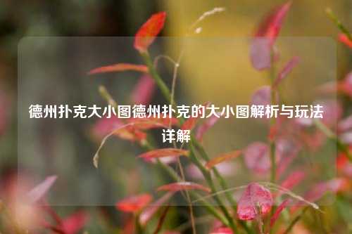 德州扑克大小图德州扑克的大小图解析与玩法详解