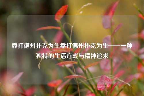 靠打德州扑克为生靠打德州扑克为生——一种独特的生活方式与精神追求