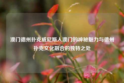 澳门德州扑克威尼斯人澳门的神秘魅力与德州扑克文化融合的独特之处