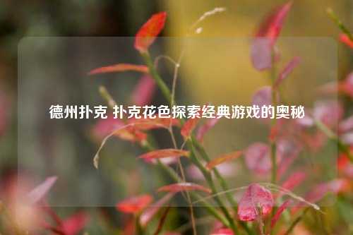 德州扑克 扑克花色探索经典游戏的奥秘