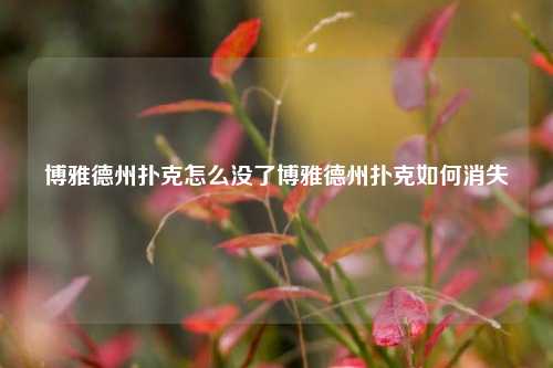 博雅德州扑克怎么没了博雅德州扑克如何消失